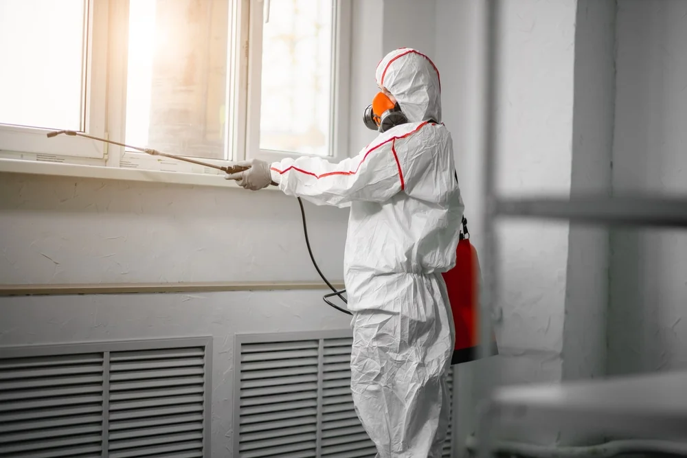 Professional mold remediation services in Alvord, TX